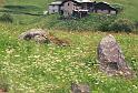 Valtellina (15)
